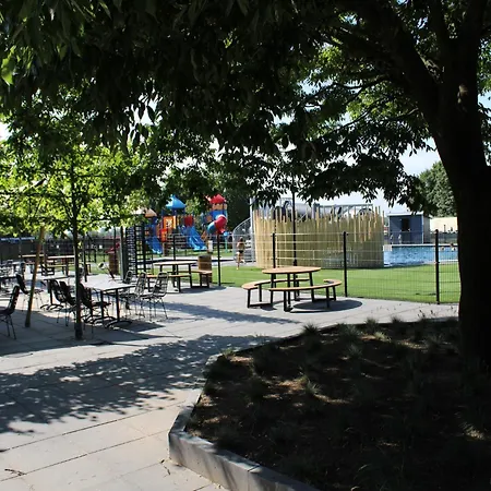 Glamping Tent In Netherlands With Terrace