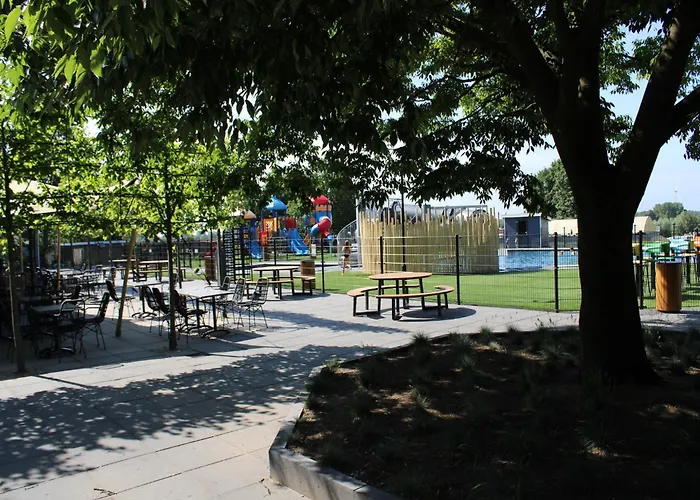 Glamping Tent In Netherlands With Terrace