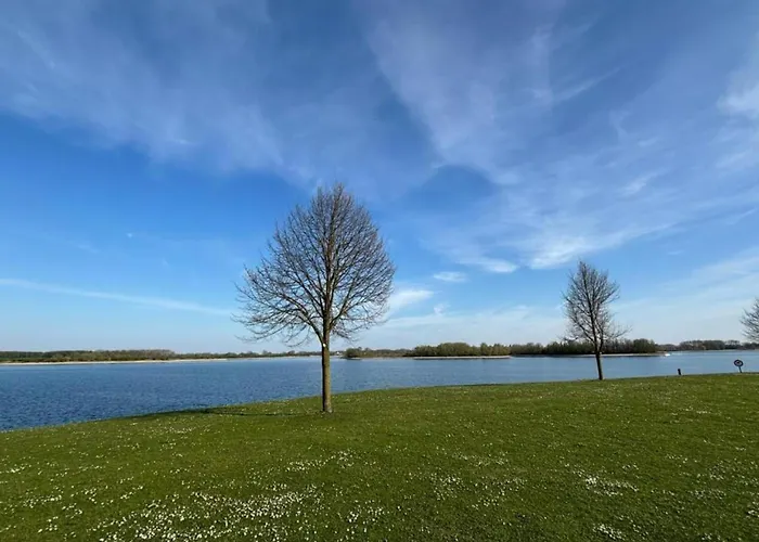 Lüks kamp alanı Glamping Tent In Netherlands With Terrace Lathum